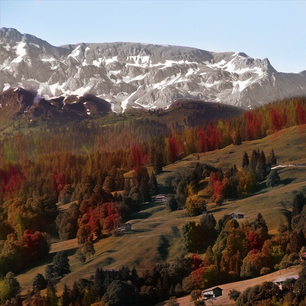 Rolling Autumn Hills art print by Marcus Prime for $57.95 CAD