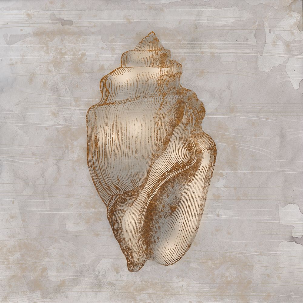 Aged Sea Shells 1 art print by Marcus Prime for $57.95 CAD