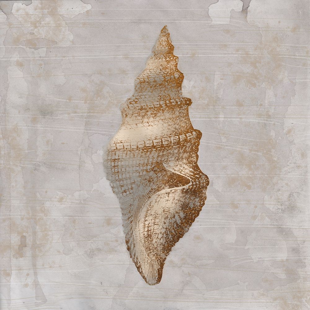 Aged Sea Shells 2 art print by Marcus Prime for $57.95 CAD