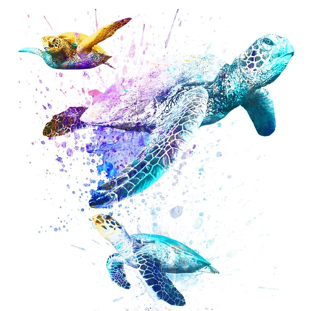 Splashing Turtles 2 art print by Marcus Prime for $57.95 CAD