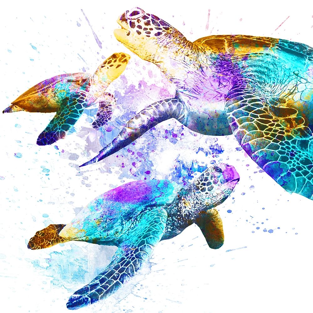 Splashing Turtles 2 art print by Marcus Prime for $57.95 CAD