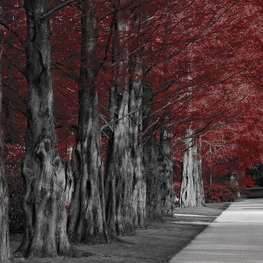 Crimson Forest 1 art print by Marcus Prime for $57.95 CAD