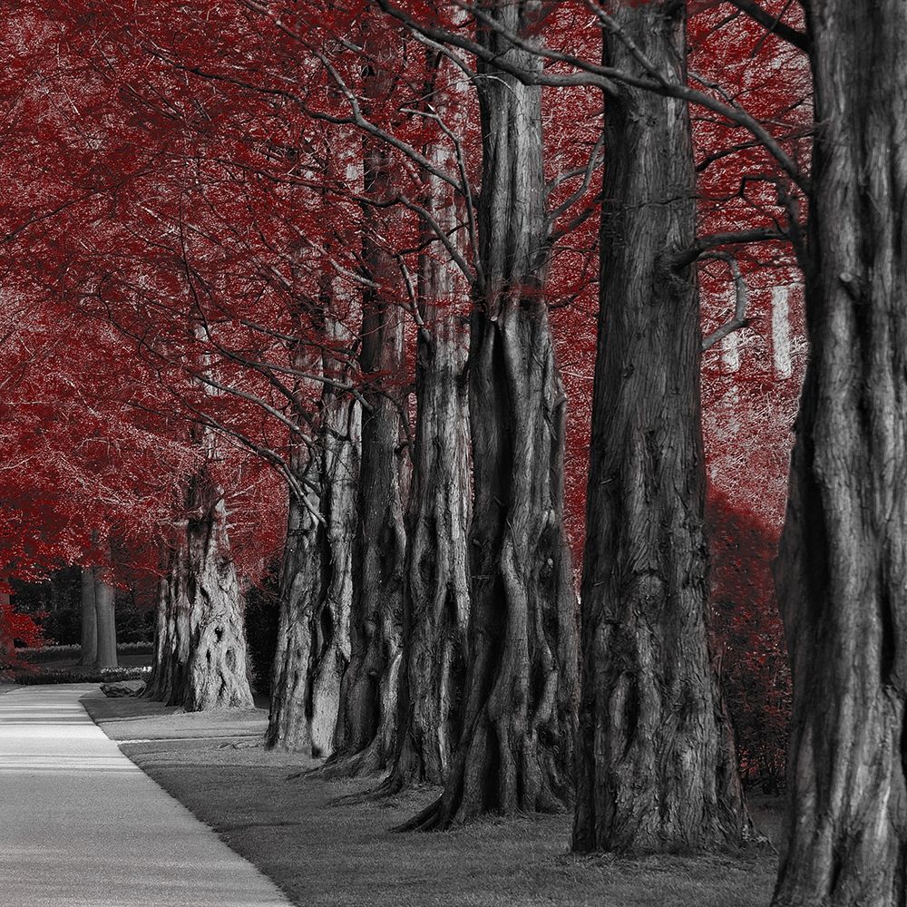 Crimson Forest 2 art print by Marcus Prime for $57.95 CAD