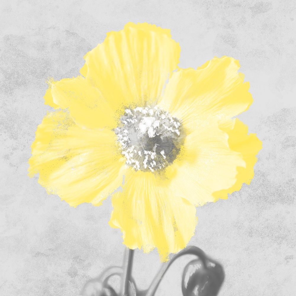 Delightful Lumination 1 art print by Marcus Prime for $57.95 CAD