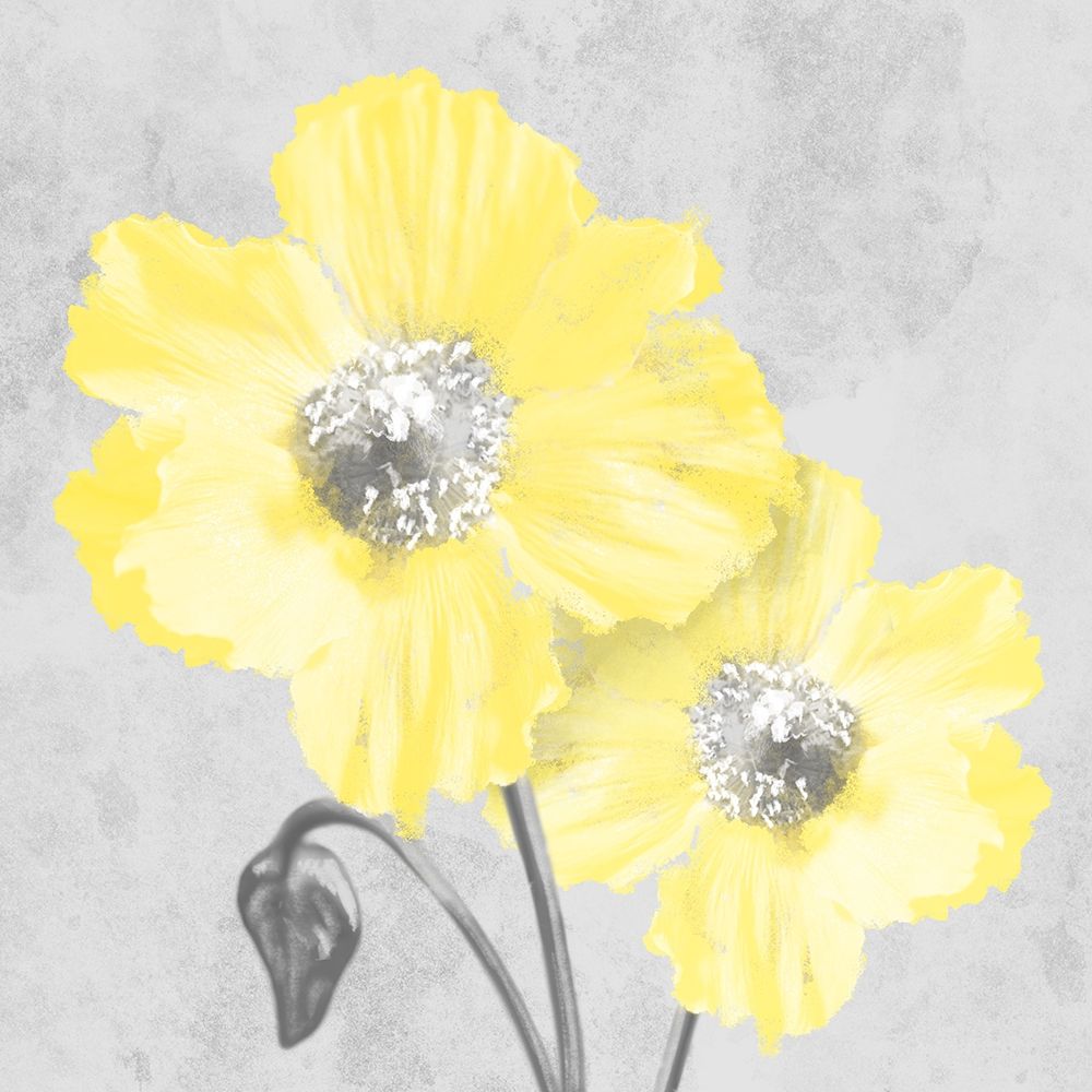 Delightful Lumination 2 art print by Marcus Prime for $57.95 CAD