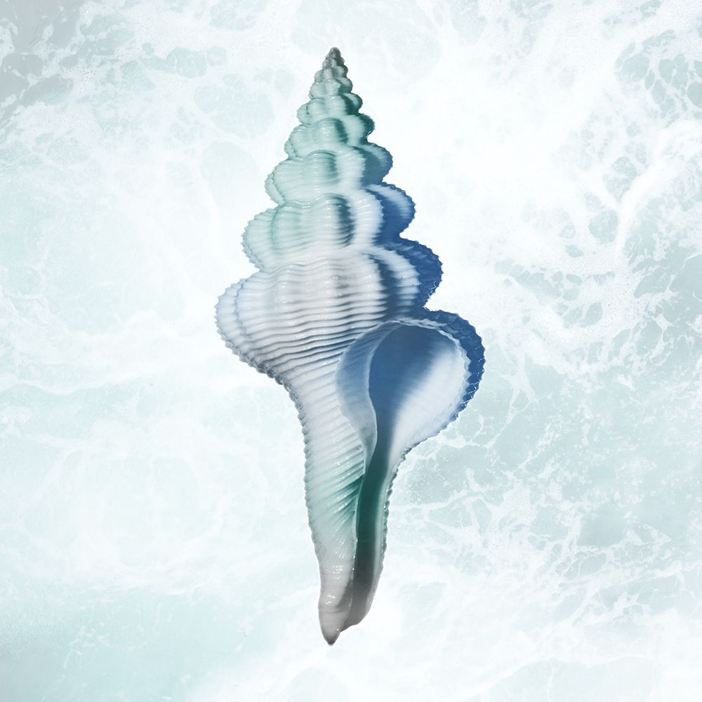 Seaside Infused Shell 2 art print by Marcus Prime for $57.95 CAD