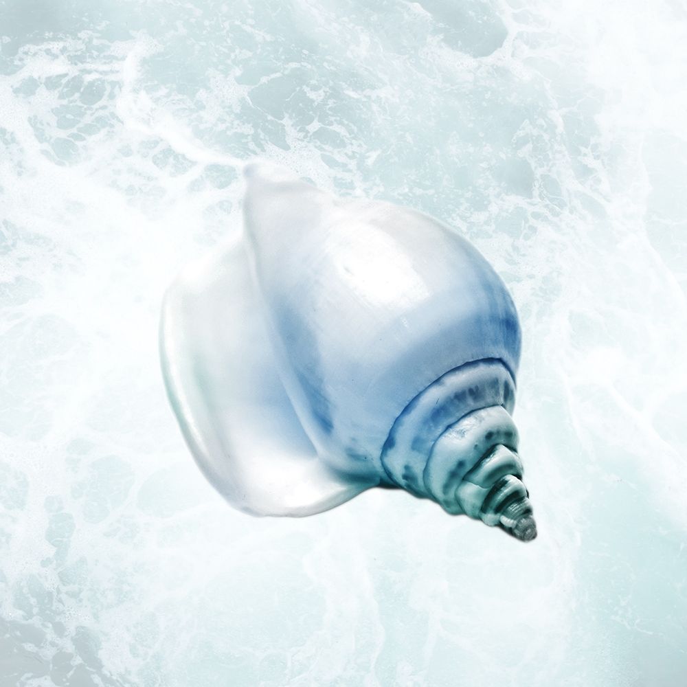 Seaside Infused Shell 3 art print by Marcus Prime for $57.95 CAD