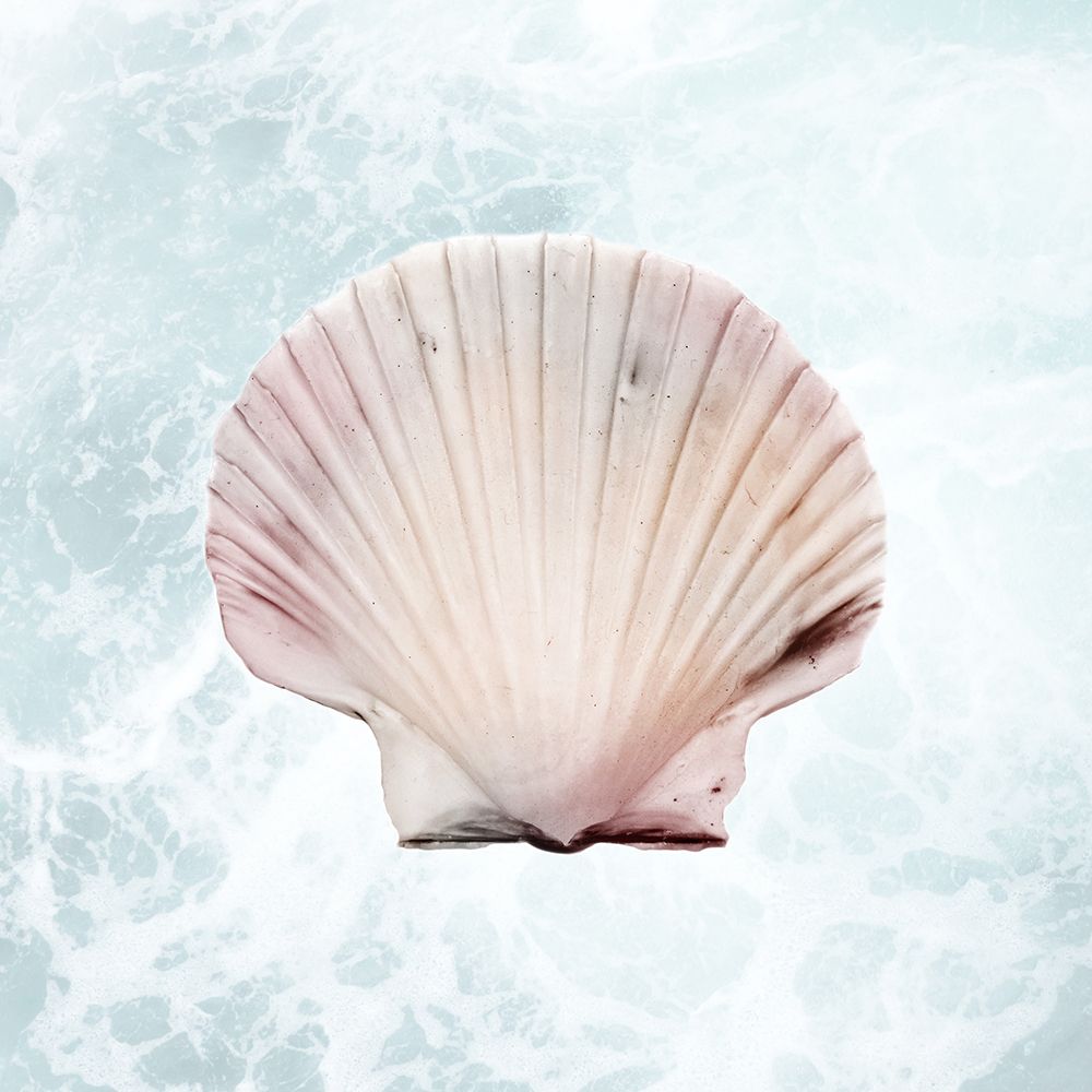 Sunshine Infused Shell 1 art print by Marcus Prime for $57.95 CAD