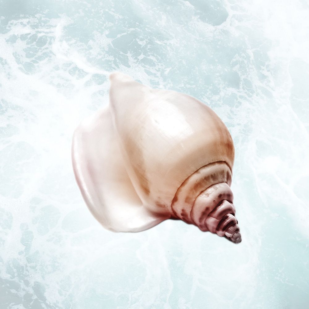 Sunshine Infused Shell 3 art print by Marcus Prime for $57.95 CAD