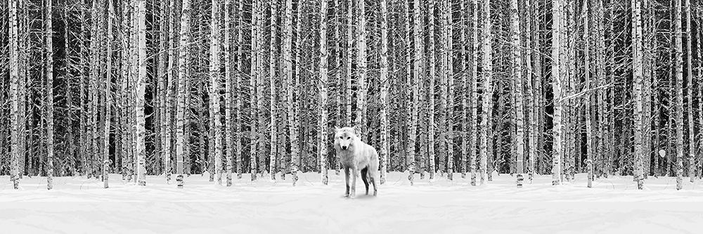 Dauntless art print by Savannah Miller for $57.95 CAD