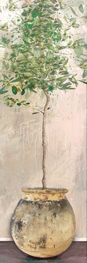 Dracaena art print by Savannah Miller for $57.95 CAD