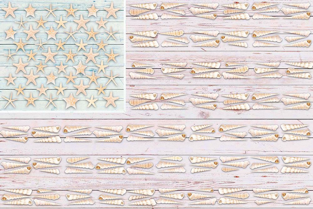 Shells 2 art print by Savannah Miller for $57.95 CAD
