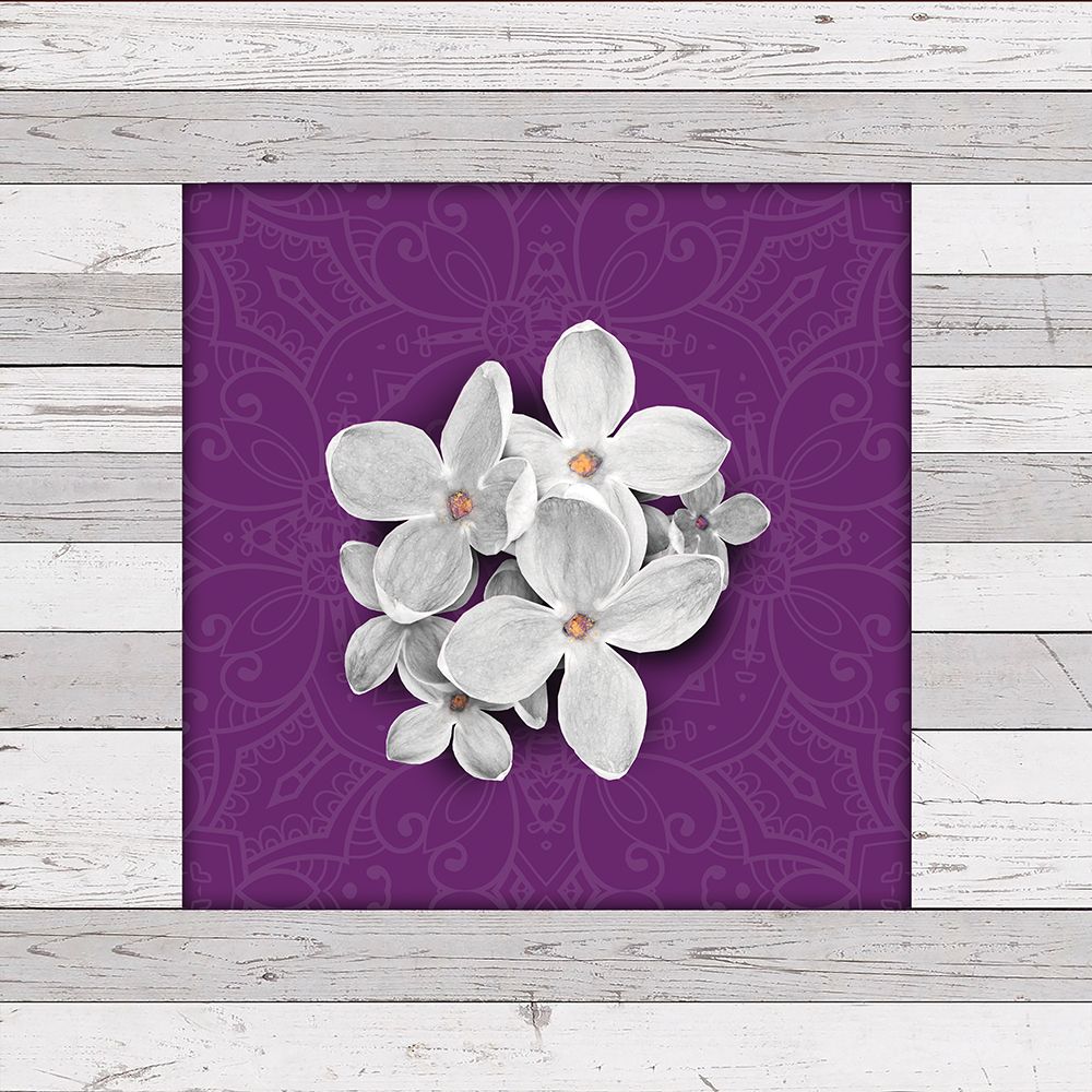 Janes Tray 1 art print by Savannah Miller for $57.95 CAD