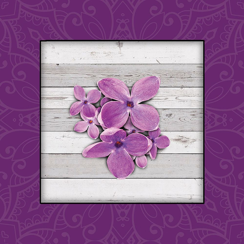 Janes Tray 2 art print by Savannah Miller for $57.95 CAD