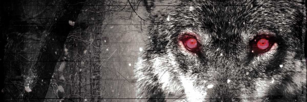 Wolf Eyes art print by Milli Villa for $57.95 CAD