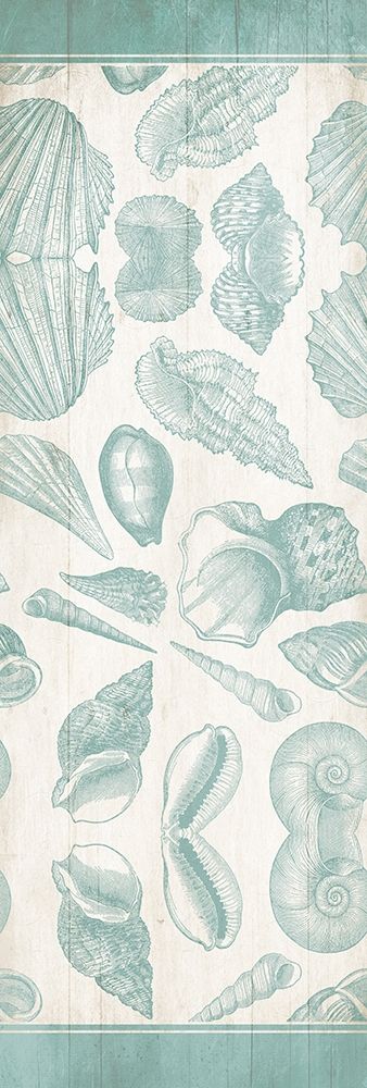 Sea Shells art print by Milli Villa for $57.95 CAD