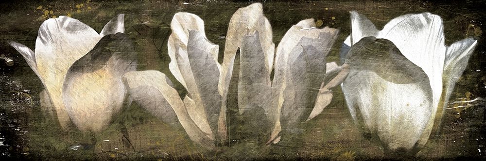 Three Tulips Amber art print by Milli Villa for $57.95 CAD