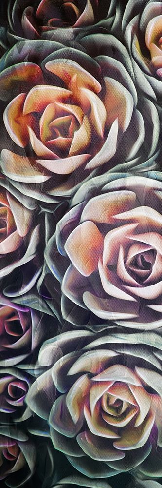 Fall Succulents art print by Milli Villa for $57.95 CAD