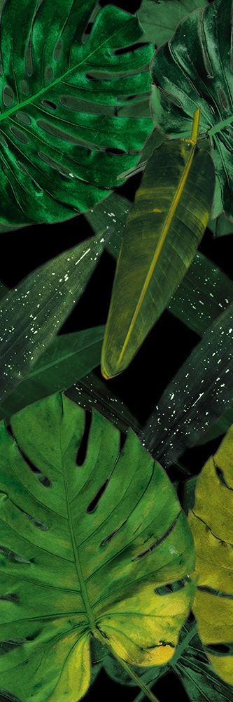 Green Palms Black art print by Milli Villa for $57.95 CAD