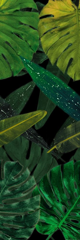 Green Palms Black Mate art print by Milli Villa for $57.95 CAD