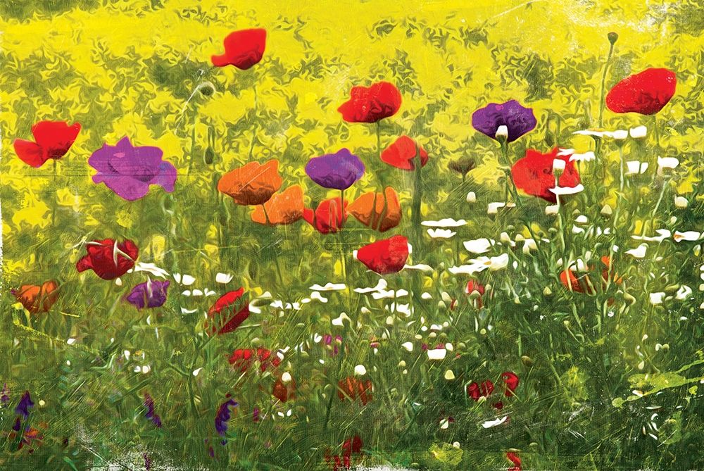 Another Pack Of Poppies art print by Milli Villa for $57.95 CAD