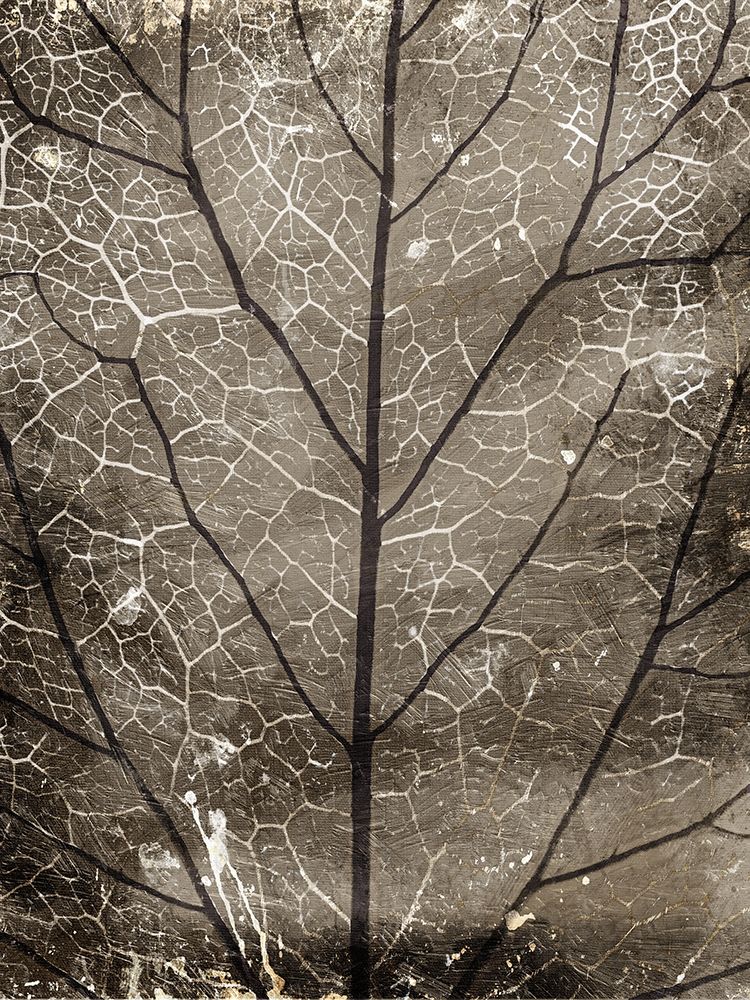 Path art print by Milli Villa for $57.95 CAD