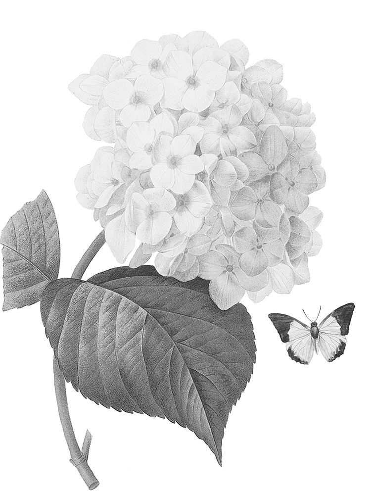 Greyscale Floral Four art print by Milli Villa for $57.95 CAD