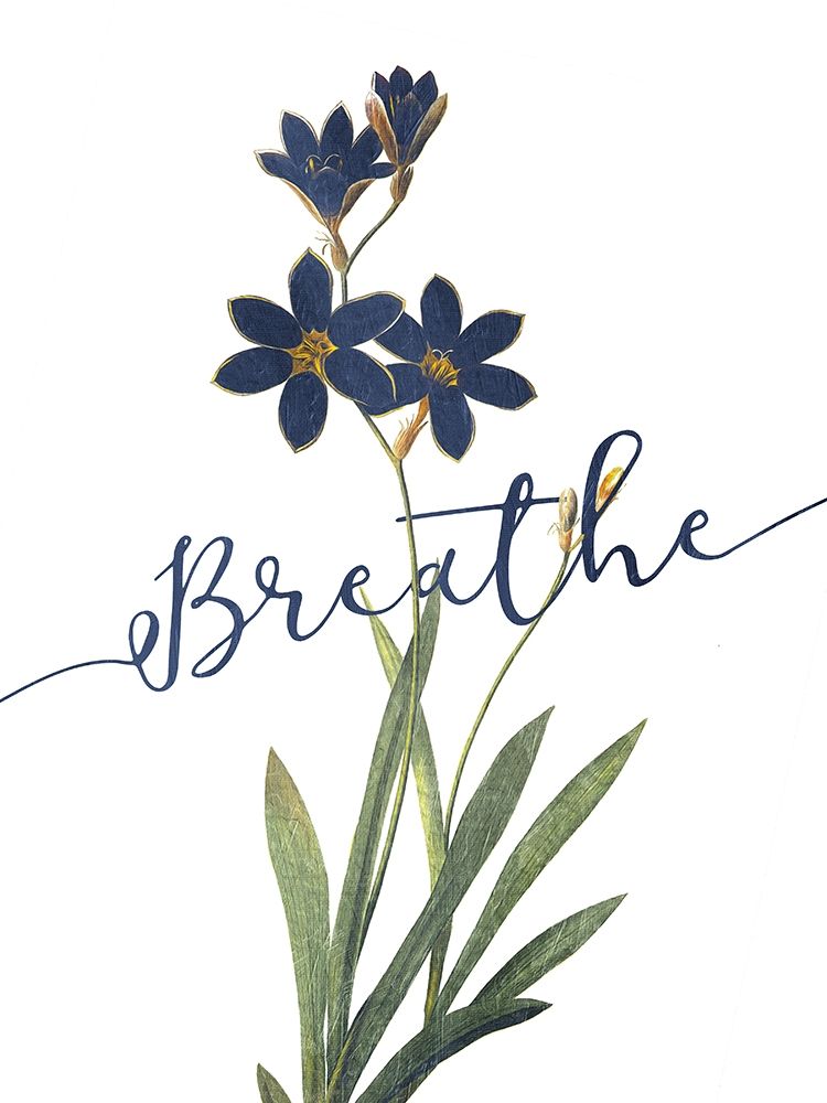 Breathe art print by Milli Villa for $57.95 CAD
