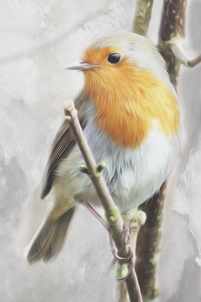 Winter Bird art print by Milli Villa for $57.95 CAD