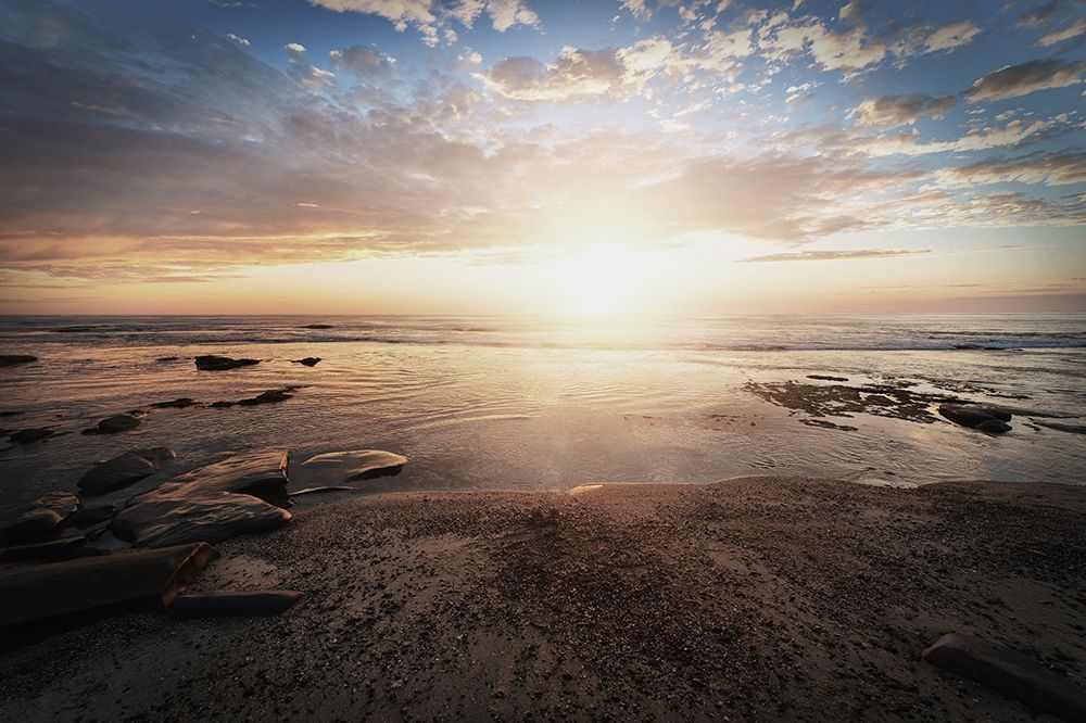 Walk On The Beach art print by Milli Villa for $57.95 CAD