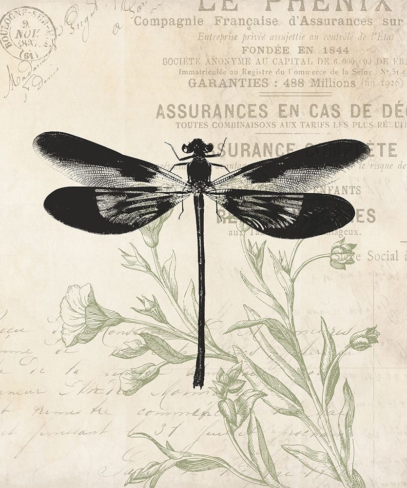 Vintage Insects art print by Milli Villa for $57.95 CAD