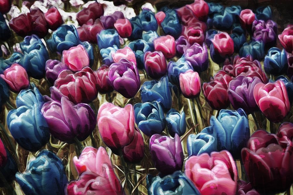 Colorful Tulips art print by Milli Villa for $57.95 CAD