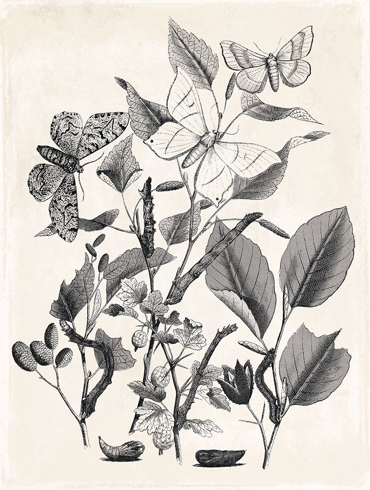 Flower And Bugs art print by Milli Villa for $57.95 CAD