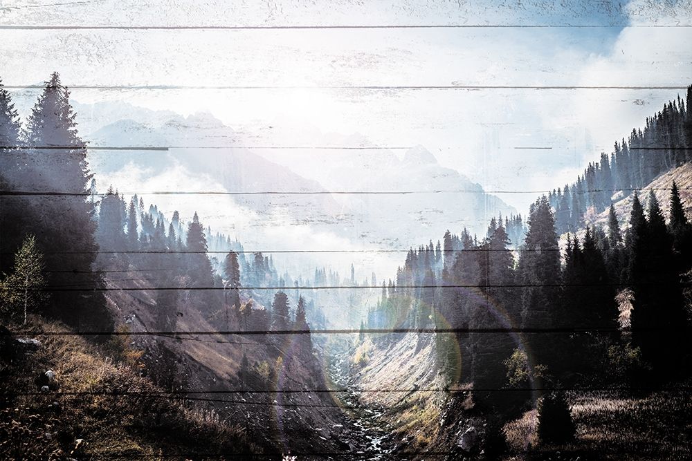 Bright Woods art print by Milli Villa for $57.95 CAD