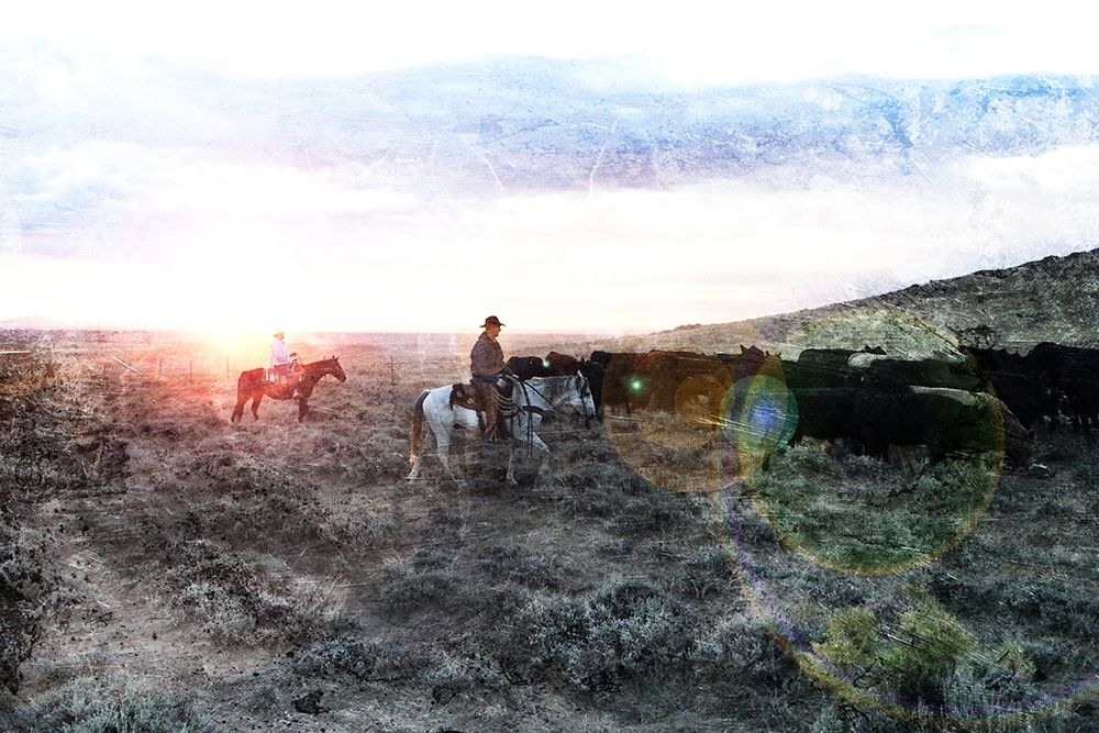 Steer The Herd art print by Milli Villa for $57.95 CAD