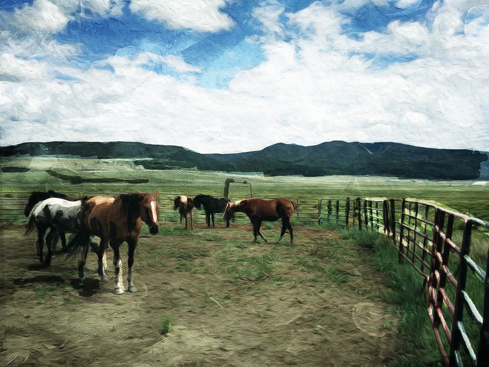 Round Them Up art print by Milli Villa for $57.95 CAD