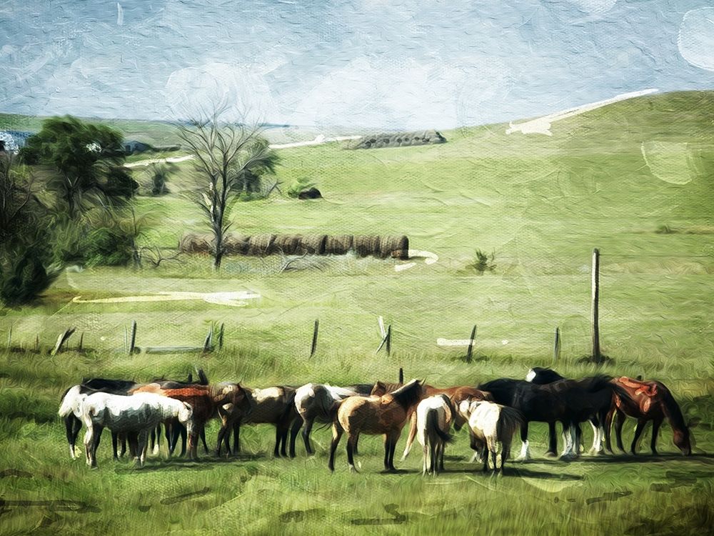Round Them Up Again art print by Milli Villa for $57.95 CAD