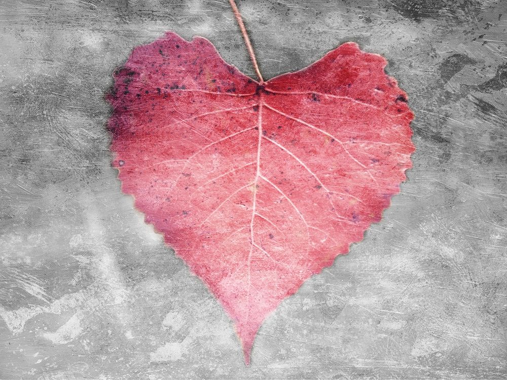 Love Leaves art print by Milli Villa for $57.95 CAD
