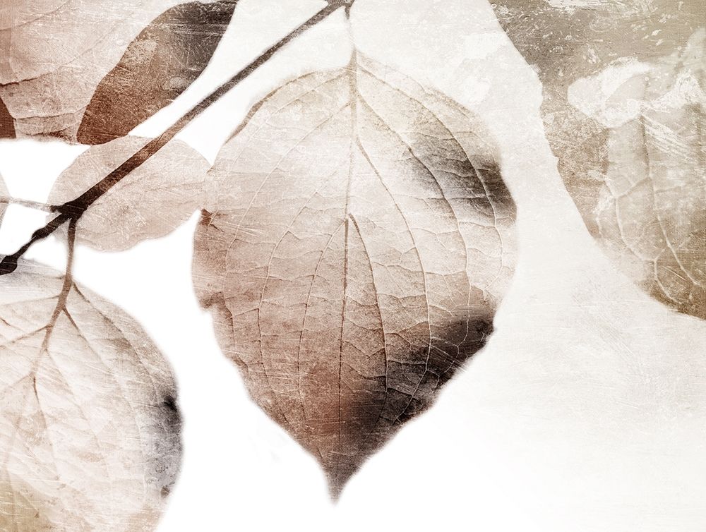Soft Neutral Leaves art print by Milli Villa for $57.95 CAD