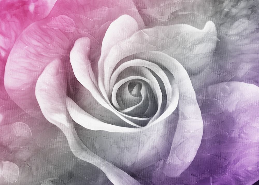Look At That Rose art print by Milli Villa for $57.95 CAD