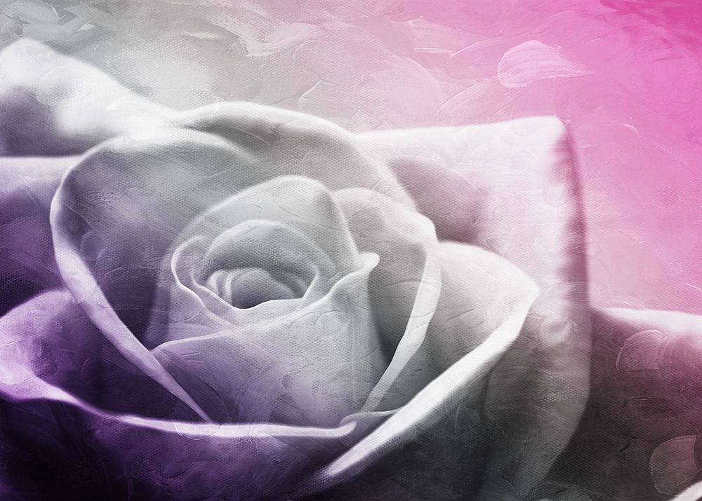 And Look At That Rose art print by Milli Villa for $57.95 CAD