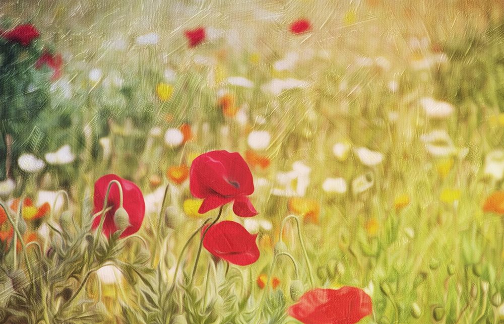 Flowers On The Hill art print by Milli Villa for $57.95 CAD