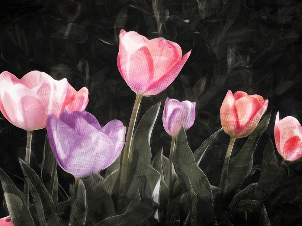 Tulips In The Dark art print by Milli Villa for $57.95 CAD