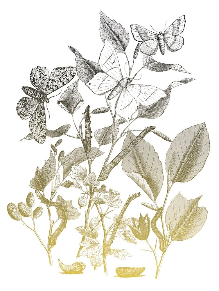 Flower and Bugs A art print by Milli Villa for $57.95 CAD