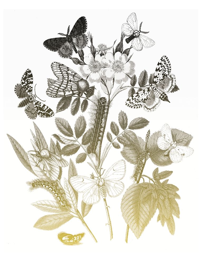 Flower and Bugs B art print by Milli Villa for $57.95 CAD