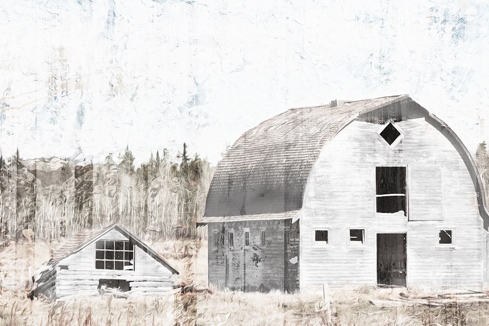 Broken Down White Barn art print by Milli Villa for $57.95 CAD