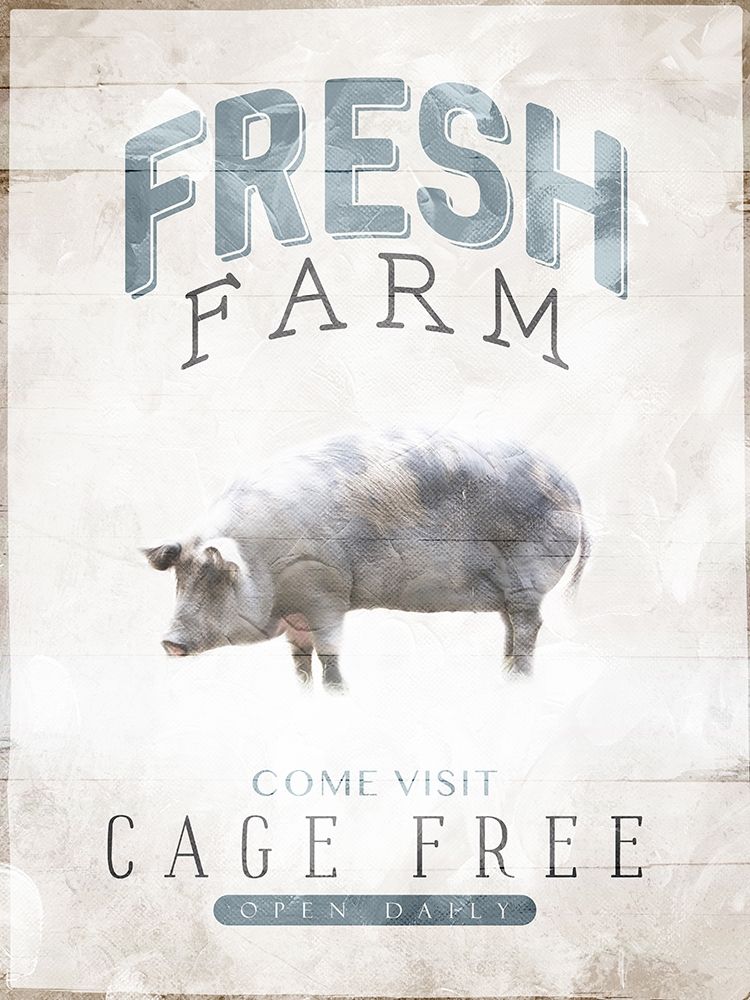 Fresh Farm art print by Milli Villa for $57.95 CAD
