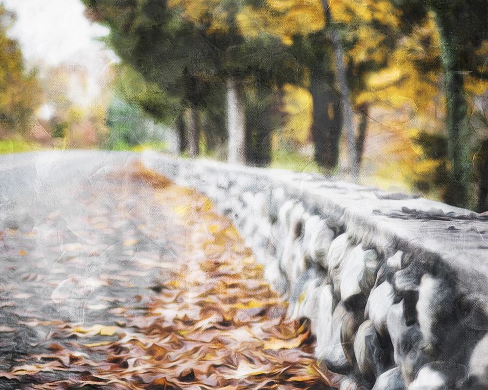 Leaves On The Road art print by Milli Villa for $57.95 CAD