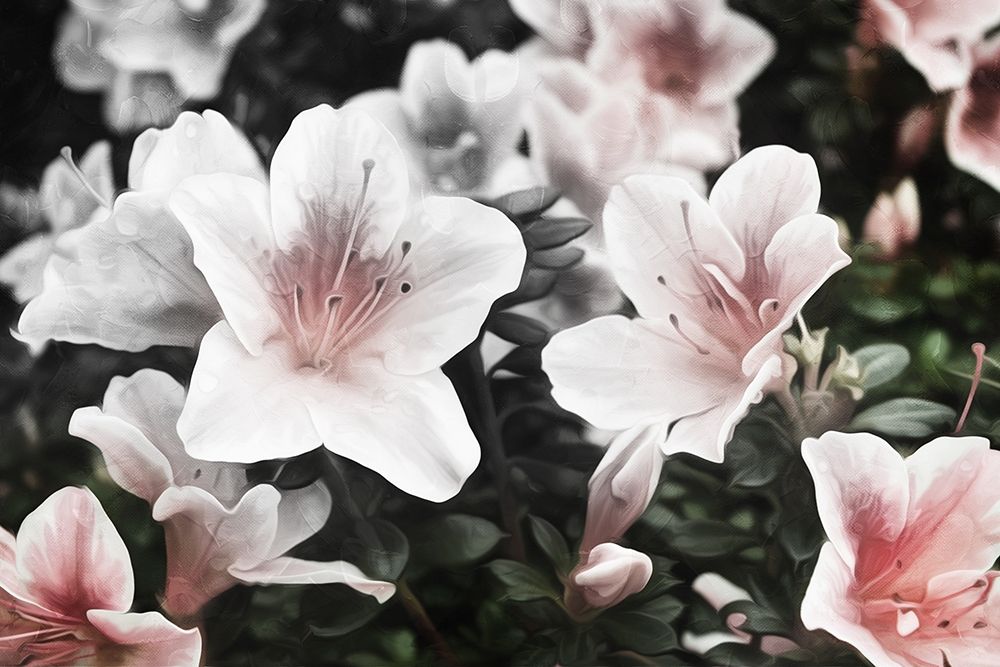 Hello Flowers art print by Milli Villa for $57.95 CAD