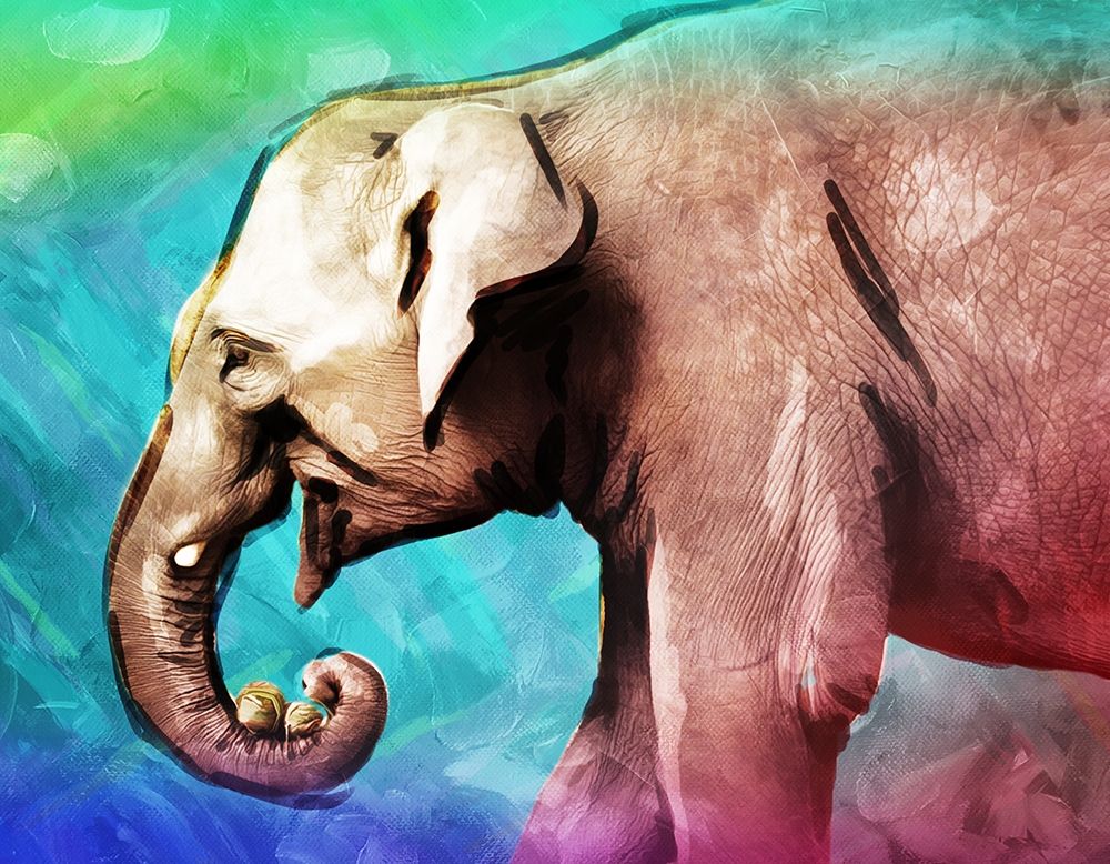 Bright Elephant art print by Milli Villa for $57.95 CAD